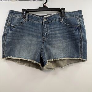 Torrid Vintage Stretch Denim Shorts 20 NWT 3.5” Fray Hem Medium Wash